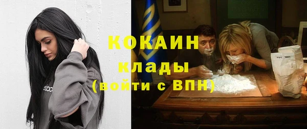 гашик Аркадак