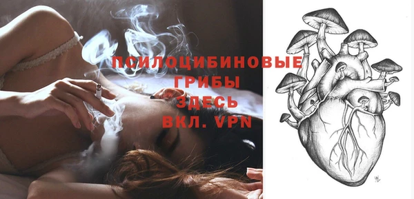 гашик Аркадак