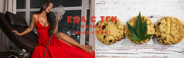 гашик Аркадак