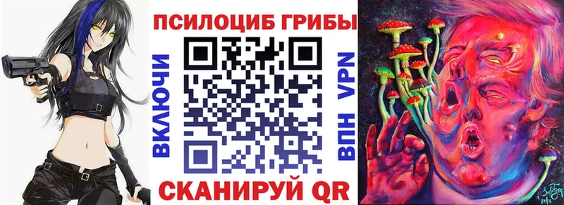 Псилоцибиновые грибы Psilocybe  Кукмор 