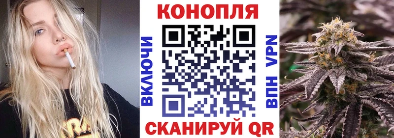 Конопля гибрид  Кукмор 